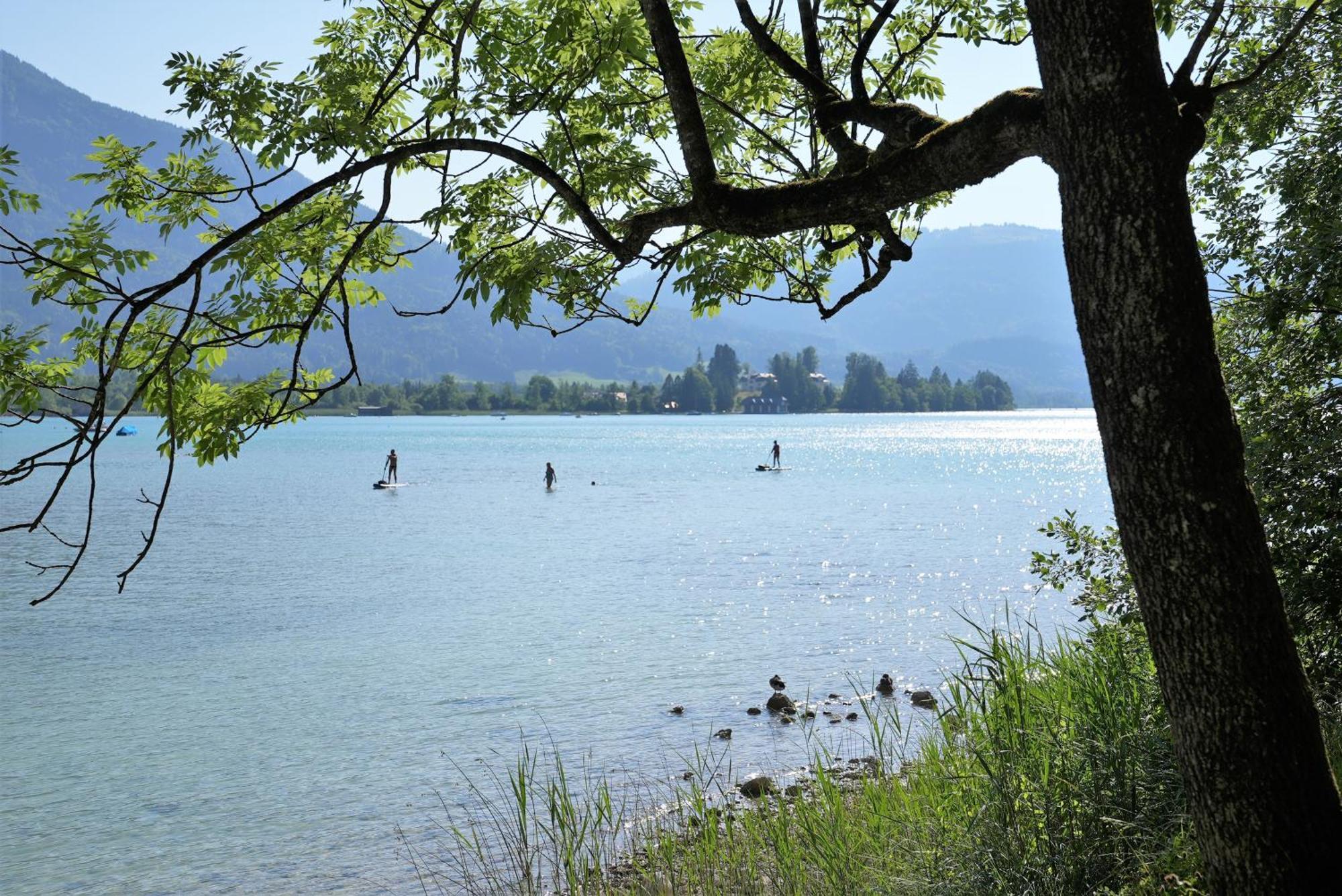 Bergblick 411 Am Wolfgangsee 스트로블 객실 사진