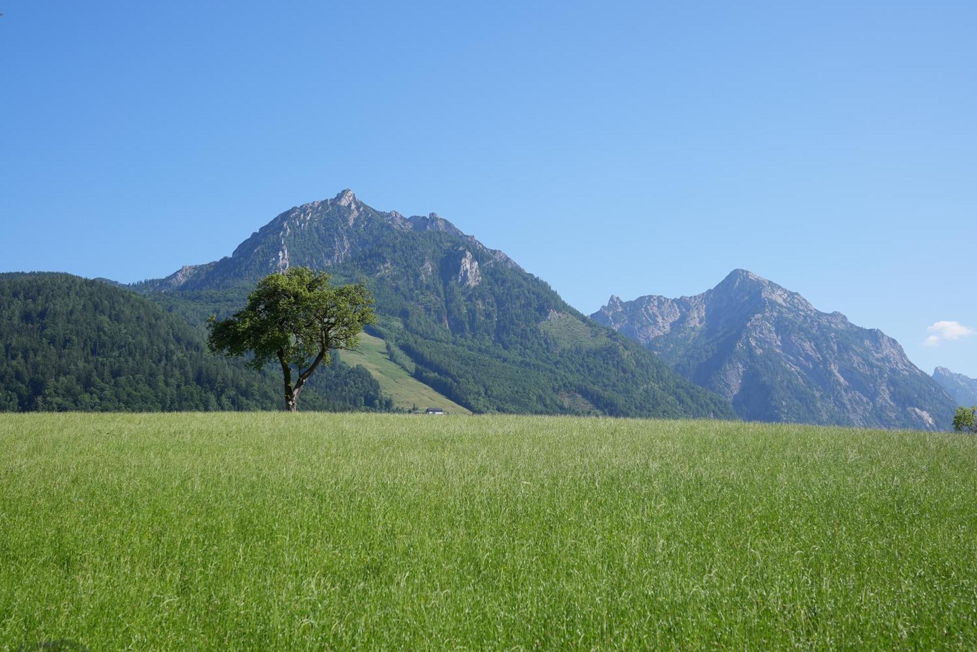 Bergblick 411 Am Wolfgangsee 스트로블 객실 사진